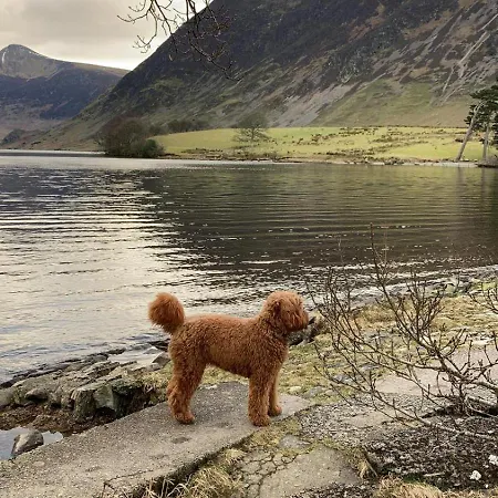 Scale Hill Lejlighed Loweswater